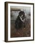 A Friend in the Marsh-Kevin Daniel-Framed Art Print