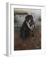 A Friend in the Marsh-Kevin Daniel-Framed Art Print