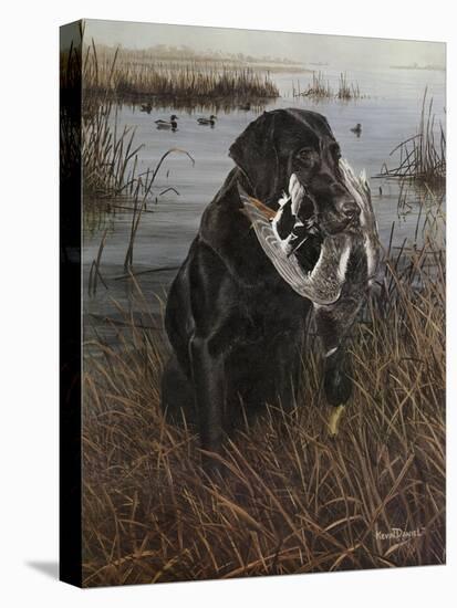 A Friend in the Marsh-Kevin Daniel-Stretched Canvas