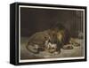 A Friend-Paul Friedrich Meyerheim-Framed Stretched Canvas