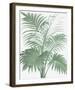 A Friendly Palm-The Vintage Collection-Framed Giclee Print