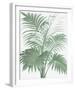 A Friendly Palm-The Vintage Collection-Framed Giclee Print