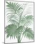 A Friendly Palm-The Vintage Collection-Mounted Giclee Print