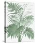 A Friendly Palm-The Vintage Collection-Stretched Canvas