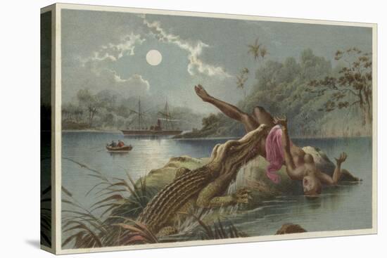 A Frightful Incident, Crocodile Attacking Native Girl-null-Stretched Canvas