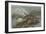 A Frightful Incident, Crocodile Attacking Native Girl-null-Framed Giclee Print