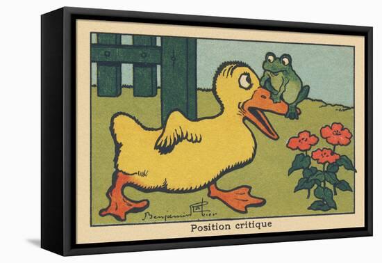 A Frog Balances on a Duck's Beak.” Critical Position” ,1936 (Illustration)-Benjamin Rabier-Framed Stretched Canvas