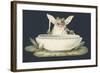 A Frog Eating a Fly-null-Framed Giclee Print