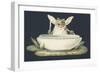 A Frog Eating a Fly-null-Framed Giclee Print