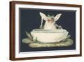 Brown Frame