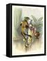 A Frog He Would a Wooing Go, Children's Book Illustration-null-Framed Stretched Canvas