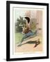 A Frog He Would a Wooing Go, Children's Book Illustration-null-Framed Giclee Print