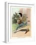 A Frog He Would a Wooing Go, Children's Book Illustration-null-Framed Giclee Print