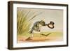 A Frog He Would A-Wooing Go, from 'Old Mother Goose's Rhymes and Tales', Published by Frederick…-Constance Haslewood-Framed Giclee Print