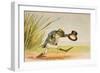 A Frog He Would A-Wooing Go, from 'Old Mother Goose's Rhymes and Tales', Published by Frederick…-Constance Haslewood-Framed Giclee Print