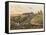 A Front View of the Farm of La Haye Sainte-James Rouse-Framed Stretched Canvas