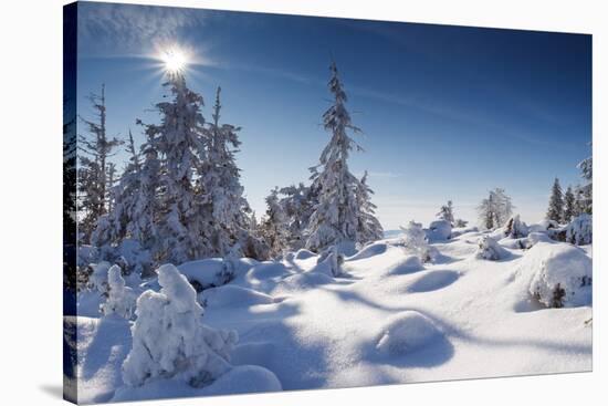 A Frosty and Sun Day Is in Mountains-Leonid Tit-Stretched Canvas