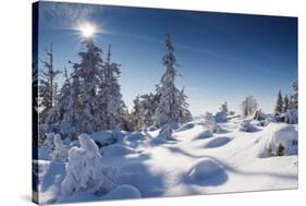 A Frosty and Sun Day Is in Mountains-Leonid Tit-Stretched Canvas