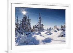 A Frosty and Sun Day Is in Mountains-Leonid Tit-Framed Photographic Print