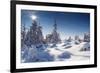 A Frosty and Sun Day Is in Mountains-Leonid Tit-Framed Photographic Print