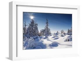 A Frosty and Sun Day Is in Mountains-Leonid Tit-Framed Photographic Print