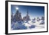 A Frosty and Sun Day Is in Mountains-Leonid Tit-Framed Photographic Print