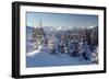 A Frosty and Sun Day Is in Mountains-Leonid Tit-Framed Photographic Print