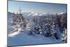 A Frosty and Sun Day Is in Mountains-Leonid Tit-Mounted Photographic Print