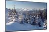 A Frosty and Sun Day Is in Mountains-Leonid Tit-Mounted Photographic Print