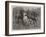 A Frosty Morning, Cavalry Horses at Exercise-John Charlton-Framed Giclee Print