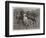 A Frosty Morning, Cavalry Horses at Exercise-John Charlton-Framed Giclee Print