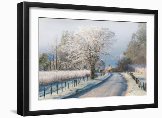 A Frosty Morning-Chris Moore-Framed Art Print