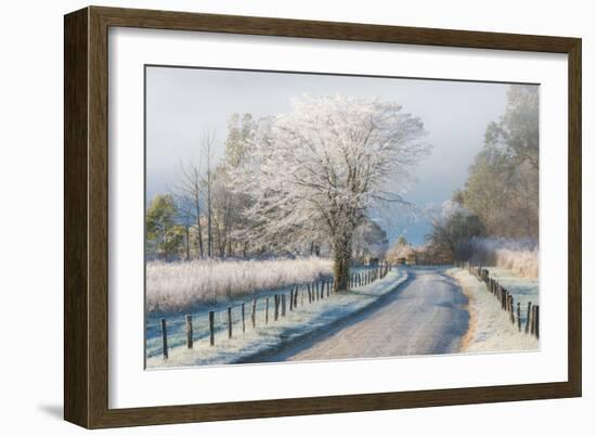 A Frosty Morning-Chris Moore-Framed Art Print