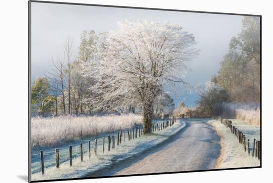 A Frosty Morning-Chris Moore-Mounted Art Print