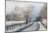 A Frosty Morning-Chris Moore-Mounted Art Print