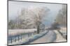 A Frosty Morning-Chris Moore-Mounted Photographic Print