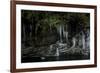 A Frozen Rope Swing on the South Fork of the Skykomish River of Washington-Steven Gnam-Framed Photographic Print