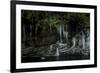 A Frozen Rope Swing on the South Fork of the Skykomish River of Washington-Steven Gnam-Framed Photographic Print