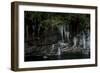 A Frozen Rope Swing on the South Fork of the Skykomish River of Washington-Steven Gnam-Framed Photographic Print