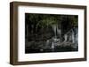 A Frozen Rope Swing on the South Fork of the Skykomish River of Washington-Steven Gnam-Framed Photographic Print