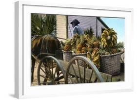 A Fruit Trader, Taboga Island, Panama, Early 20th Century-null-Framed Giclee Print