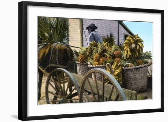 A Fruit Trader, Taboga Island, Panama, Early 20th Century-null-Framed Giclee Print