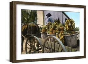 A Fruit Trader, Taboga Island, Panama, Early 20th Century-null-Framed Giclee Print