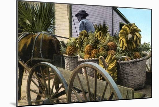 A Fruit Trader, Taboga Island, Panama, Early 20th Century-null-Mounted Giclee Print