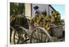 A Fruit Trader, Taboga Island, Panama, Early 20th Century-null-Framed Premium Giclee Print