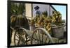 A Fruit Trader, Taboga Island, Panama, Early 20th Century-null-Framed Premium Giclee Print