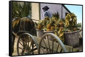 A Fruit Trader, Taboga Island, Panama, Early 20th Century-null-Framed Stretched Canvas