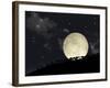 A Full Moon Rising Behind a Row of Hilltop Trees-null-Framed Art Print