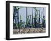 A Gaggle of Canada Geese Seem to be Headed for a Day of Thrills-null-Framed Photographic Print