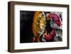 A Galapagos Islands Sally Lightfoot Crab on a Rock-Karine Aigner-Framed Photographic Print